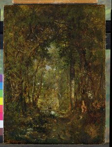 Nel bosco a Fontainebleau